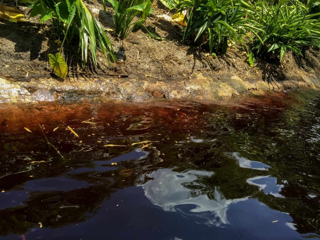 The river water has been dyed red, but it will tone out to a brown over time